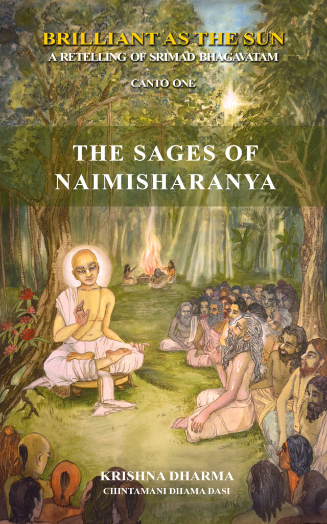 Book cover Sages of Naimisharanya